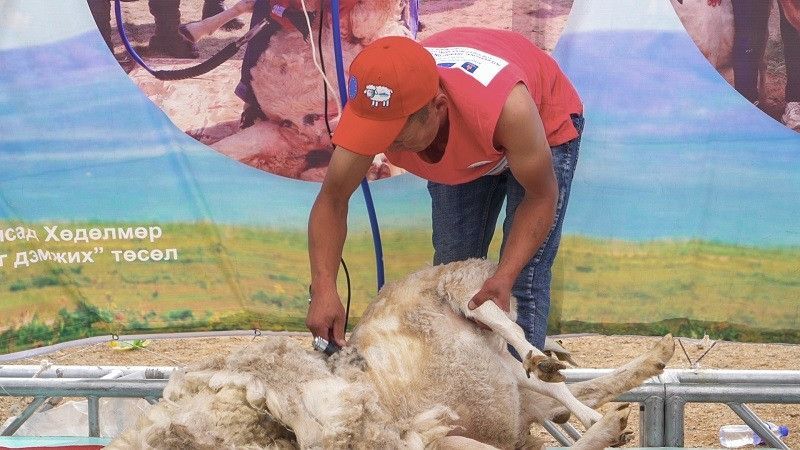 Международный конкурс "Золотые ножницы" впервые пройдет в Монголии