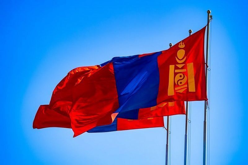 В Монголии работают представительства 74 иностранных международных и неправительственных организаций