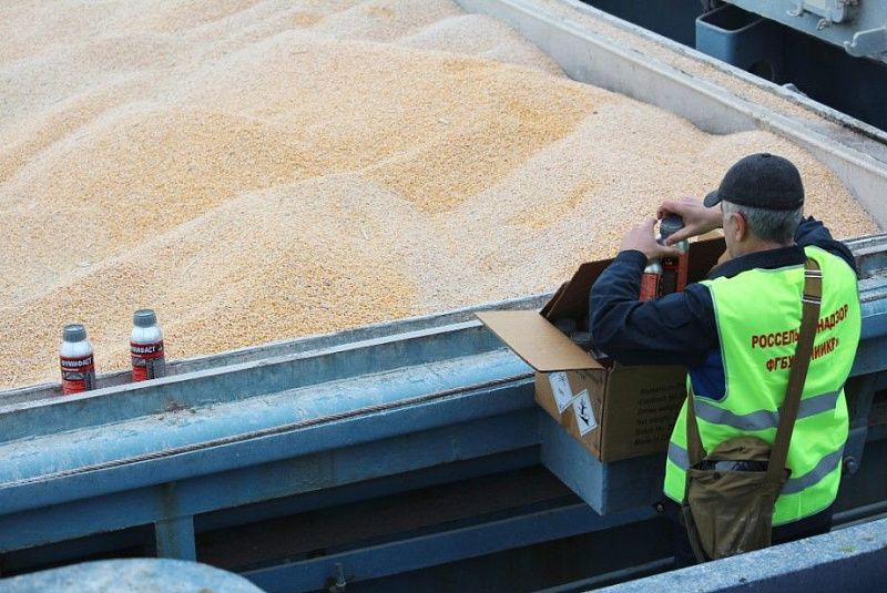 Бурятия экспортировала в Китай и Монголию 19 тысяч тонн зерна и продуктов его переработки