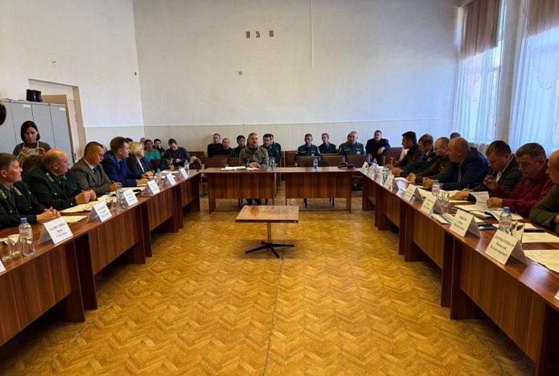 Взаимодействие при тушении трансграничных пожаров обсудили в Забайкалье