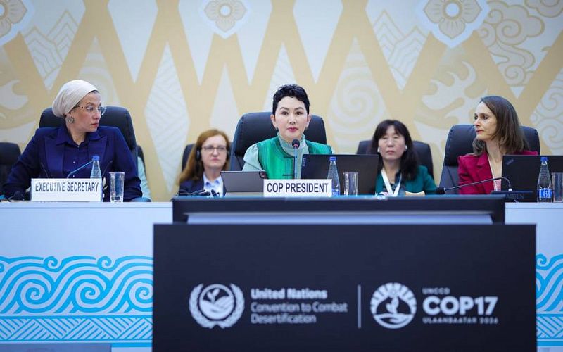 COP17: Состоялся первый открытый диалог между сторонами Конвенции и гражданским обществом