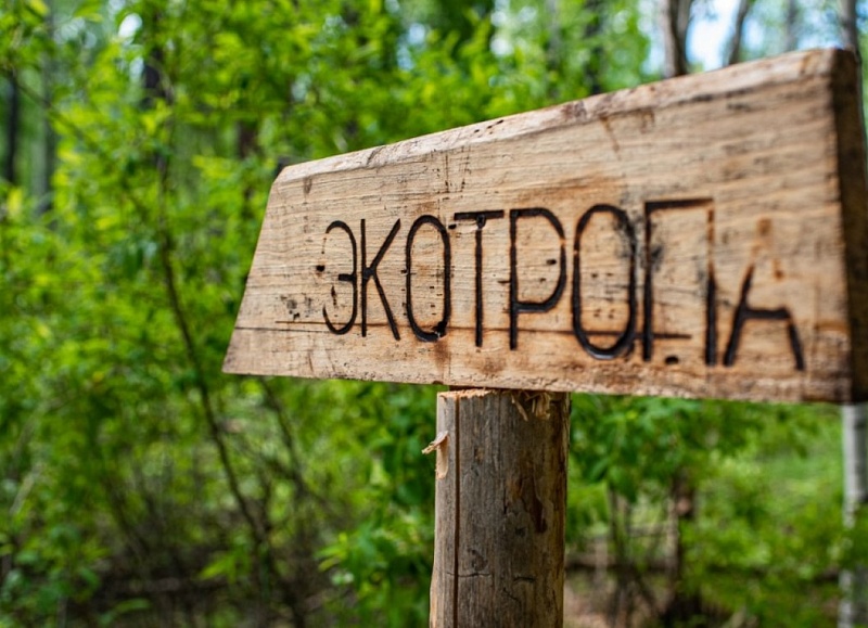 Новые экологические тропы появятся в Забайкалье