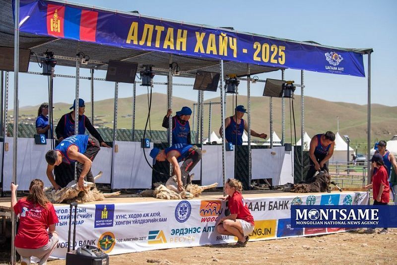 Конкурс по стрижке овец “Золотые ножницы 2025” прошел в Монголии. ФОТО