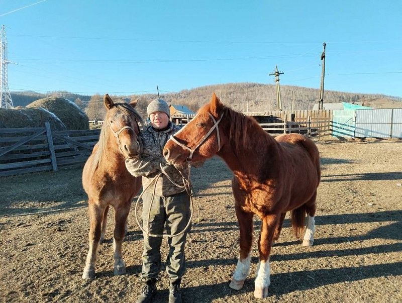 Фермер из Закаменского района планирует расширять поголовье благодаря гранту