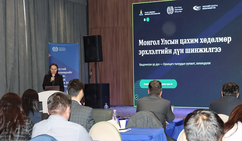 Монголия обсудила предварительные результаты цифровой диагностики занятости