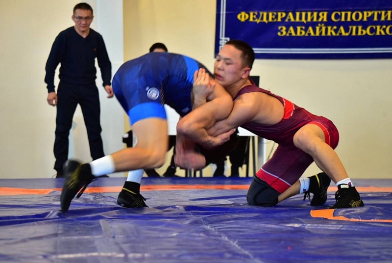 Более 150 лучших борцов собрались на чемпионате в Агинском округе