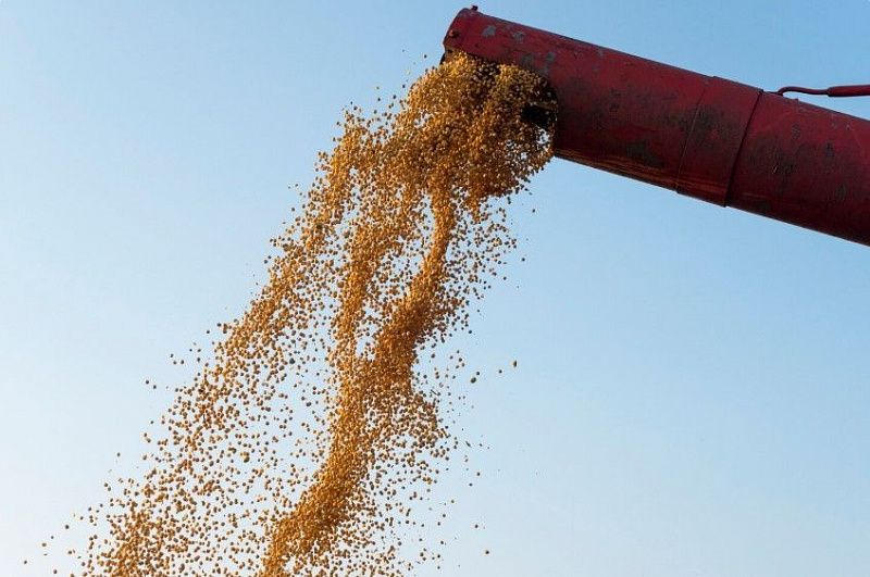 По всей Монголии ход уборки урожая составляет 23–52%