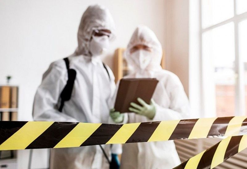 В Монголии подтвердился случай заболевания человека сибирской язвой