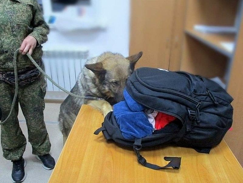 Два факта ввоза в Россию незадекларированной валюты пресекли таможенники в Бурятии
