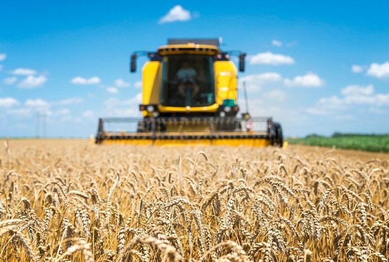 В Монголии собрана большая часть урожая пшеницы и овощей