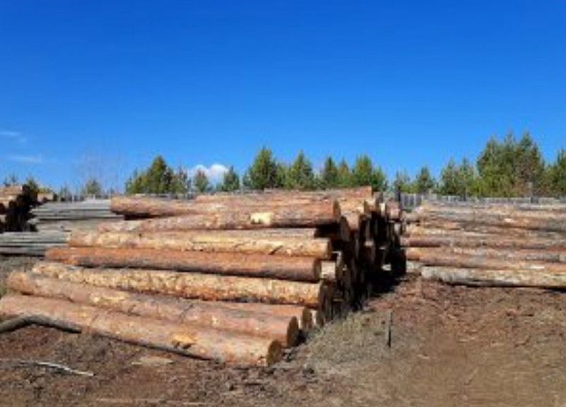 Бурятия экспортировала около 80 тысяч кубометров лесоматериалов