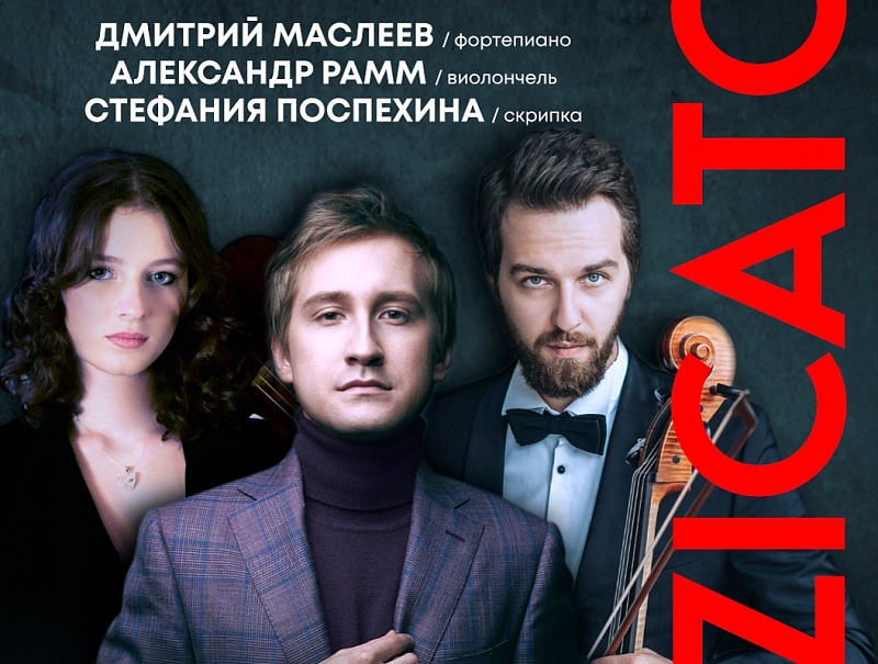 Концерт Дмитрия Маслеева будет перенесен