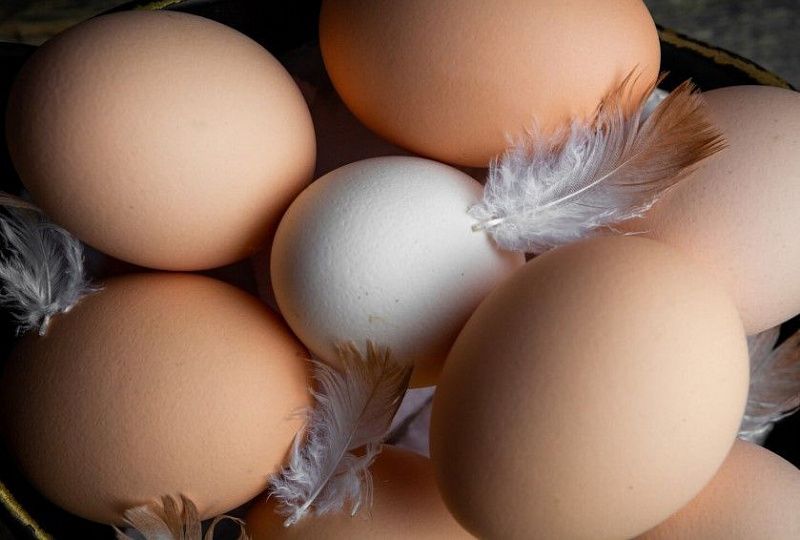 В Забайкалье перед Пасхой яйца дорожать не будут