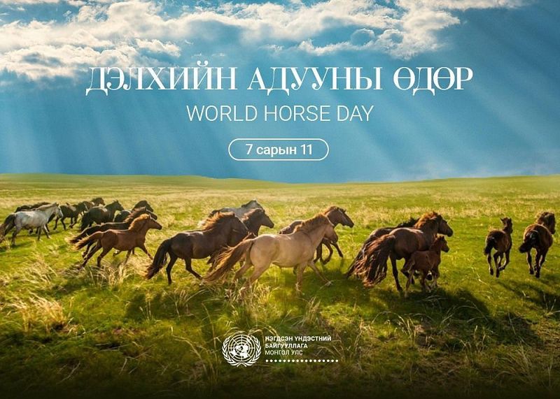 В Монголии впервые отметят Всемирный день лошади 11–13 июля