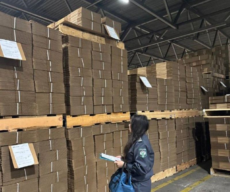 Из Бурятии в Монголию отправлено около 3 млн гофрированных картонных коробок для упаковки пищевых продуктов