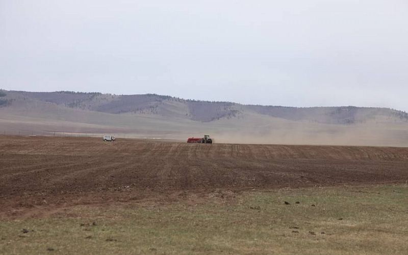 633,4 тысячи гектаров засеет Монголия в этом году
